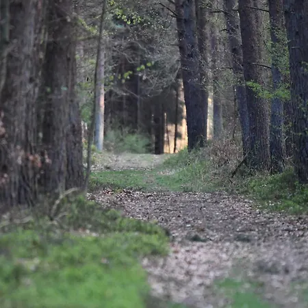 בית נופש Auerhahn Ferienhaeuser Auerhahn 404