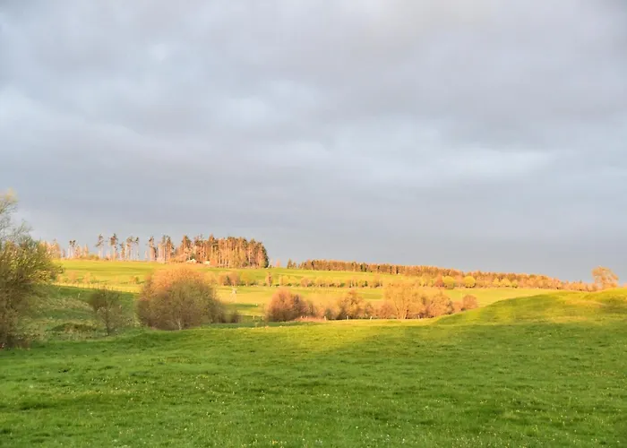 Auerhahn Ferienhaeuser Auerhahn 404